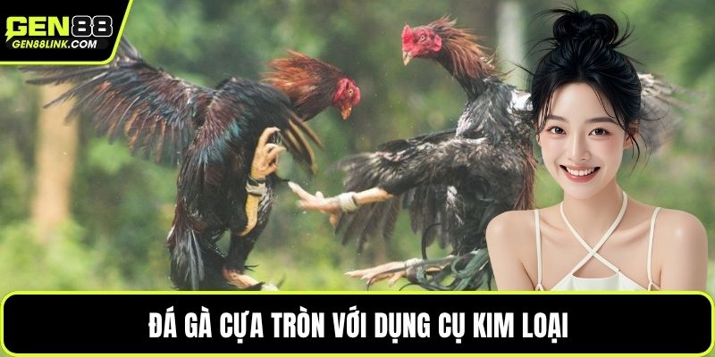 Đá Gà Cựa Tròn – Sự Kịch Tính Trong Từng Pha Chọi Kê 2 Đá gà cựa tròn với dụng cụ kim loại