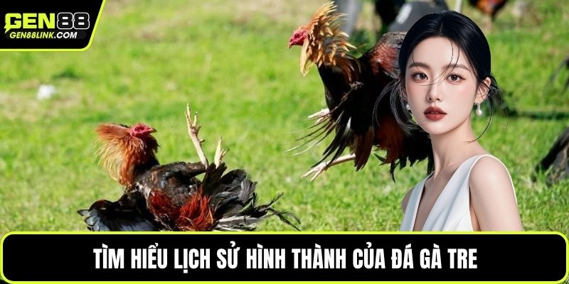 Tìm hiểu lịch sử hình thành của đá gà tre
